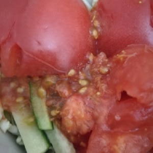 キャベツときゅうりとトマトのサラダ